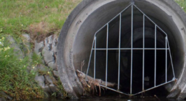 Fewer Sewage Spills in Taupō, New Zealand