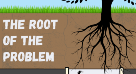 The Root of The Problem: How Trees Affect our Sewers